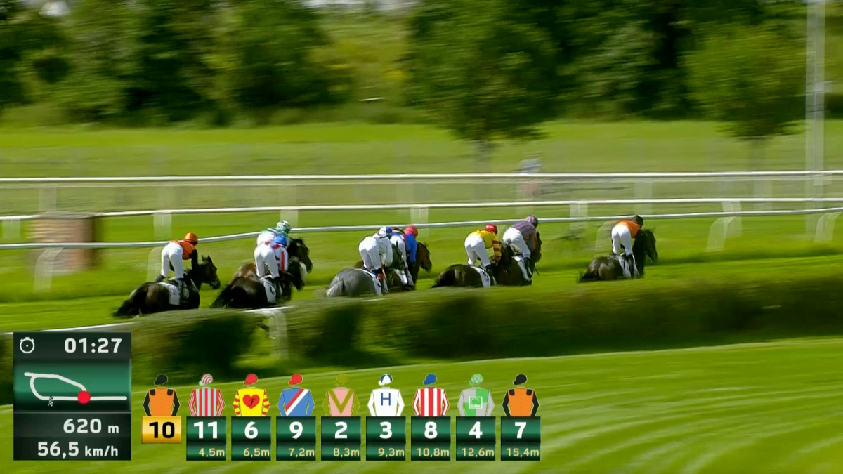 Livestream-Abo Galopp + Trab Deutschland