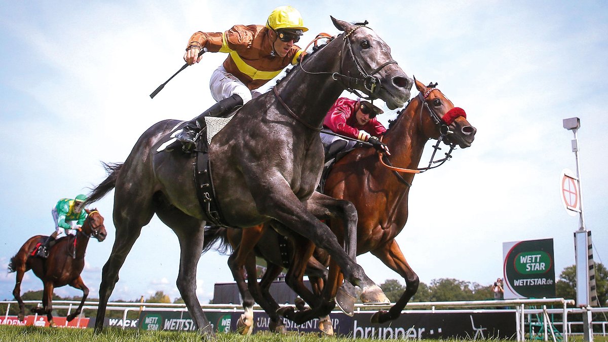 Livestream-Abo Galopp + Trab Deutschland